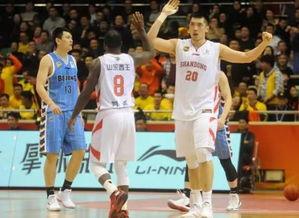 篮球最新爆料视频大全集,精彩瞬间尽收眼底